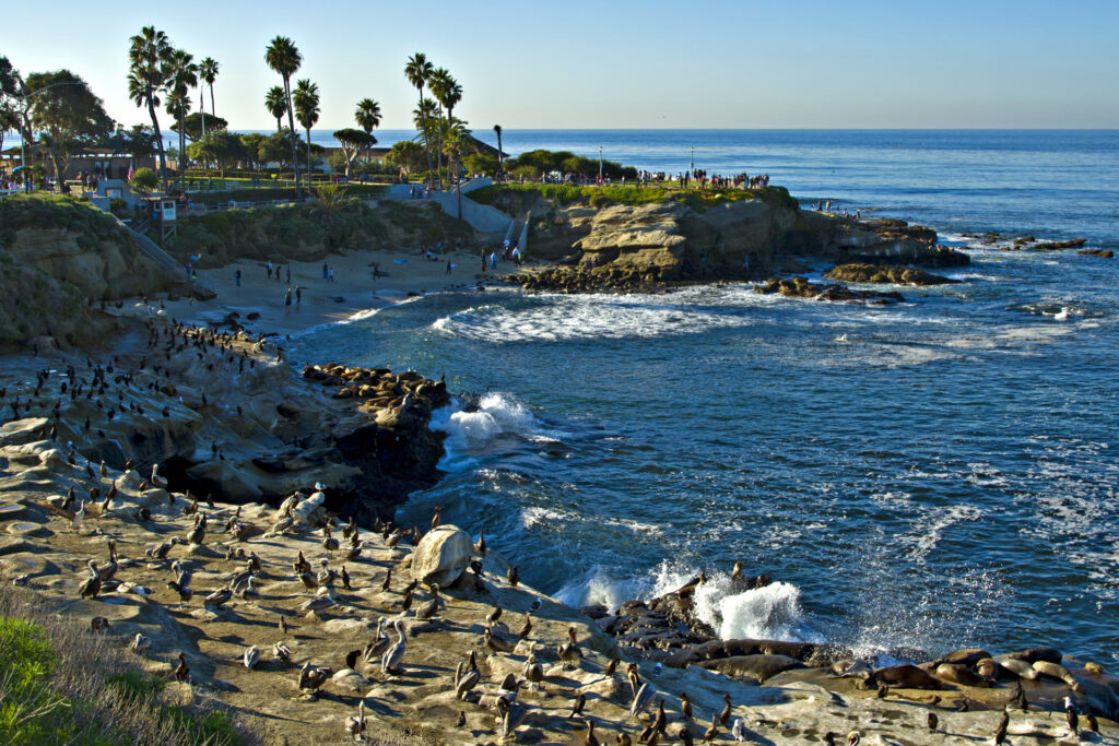 La Jolla Cove, San Diego, CA