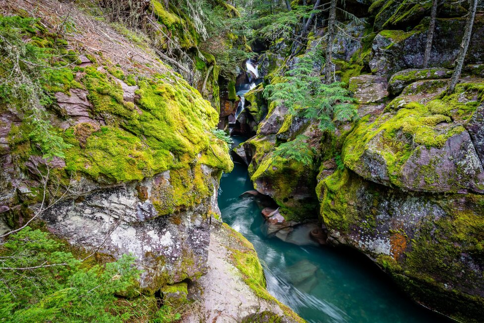 Trail of the Cedars